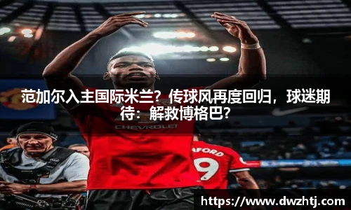MK体育